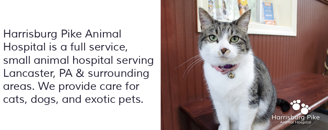 about Harrisburg Pike Animal Hospital